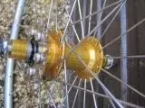 Fixie 010 low .webp