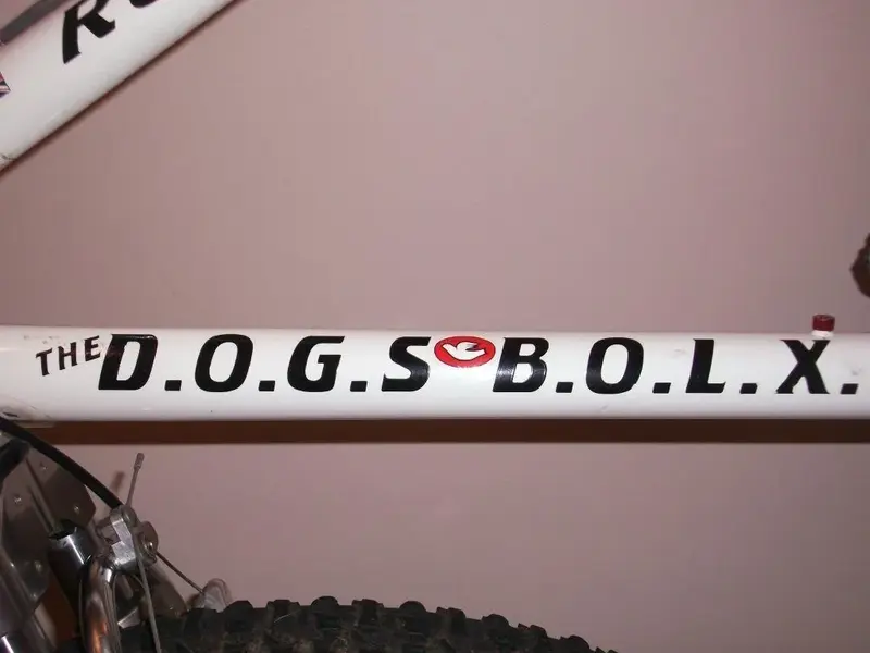DSCF1303.webp
