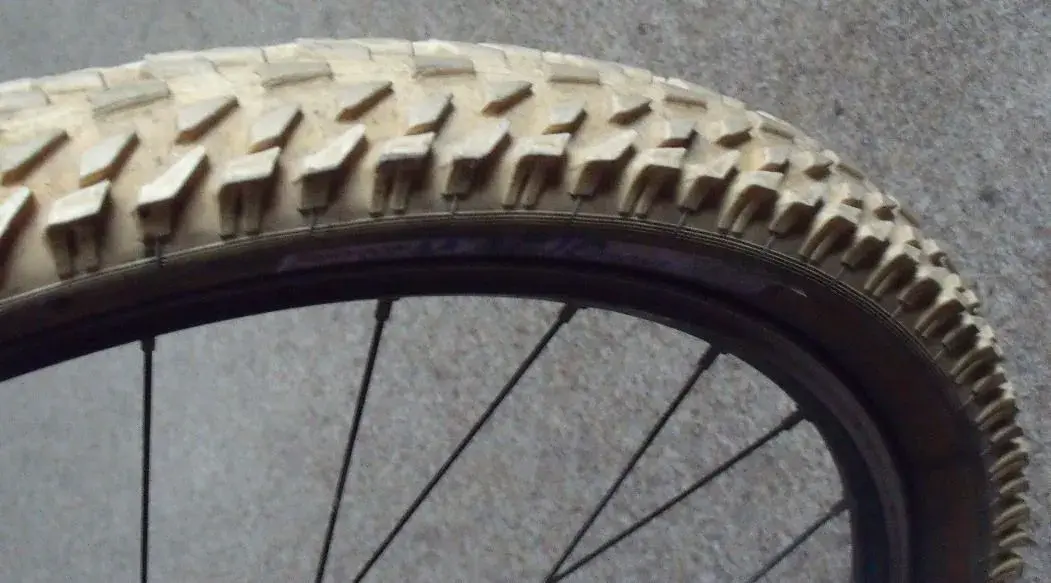 DSCF1399.webp
