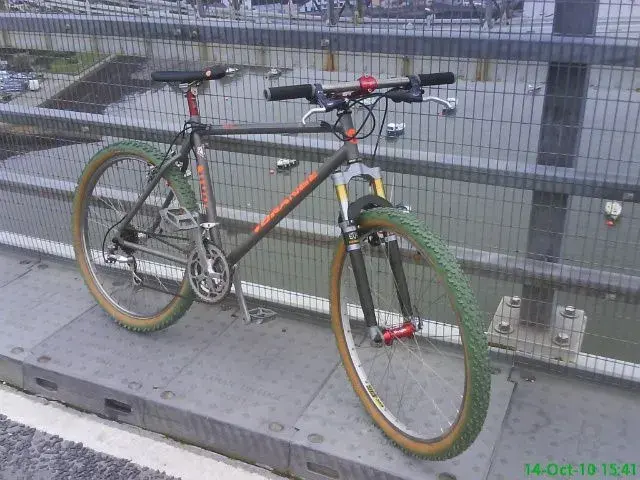 DSC00298-1.webp