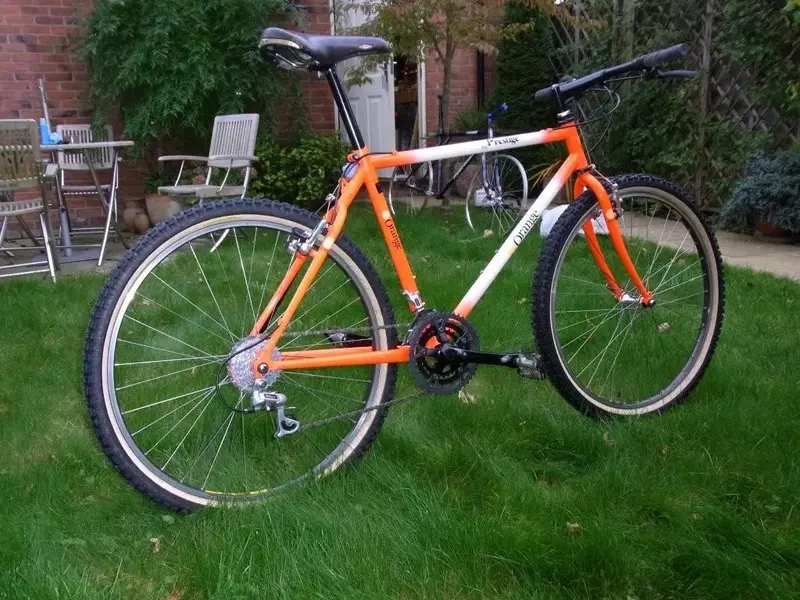 Rear Side.webp