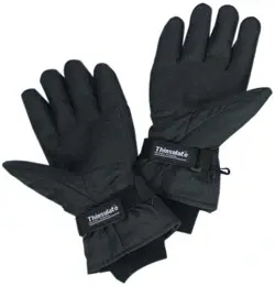 gloves.webp