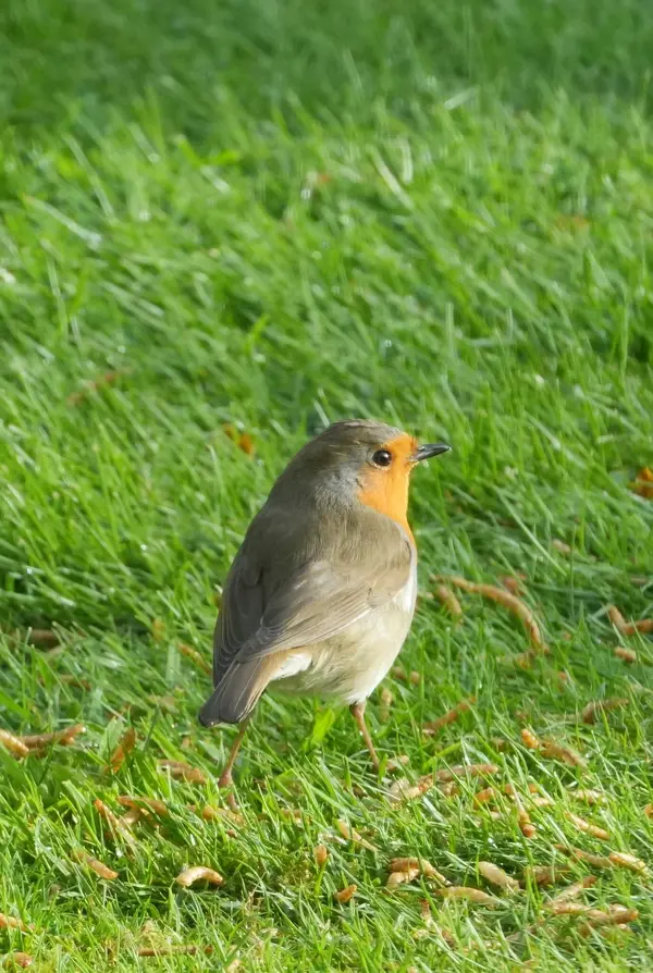 A7C00637.webp