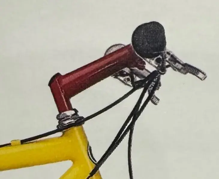 stem.JPG