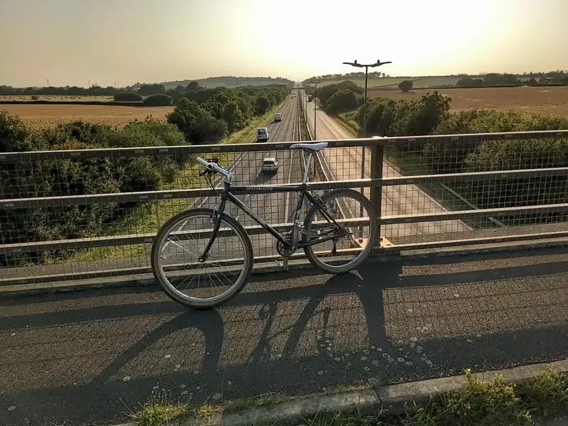 StumpyOnBridge.webp