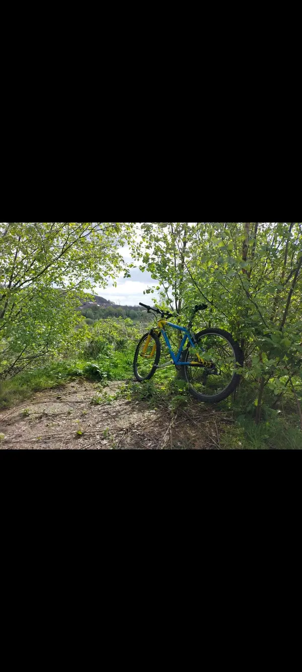 Screenshot_20240421_182655_Gallery.webp