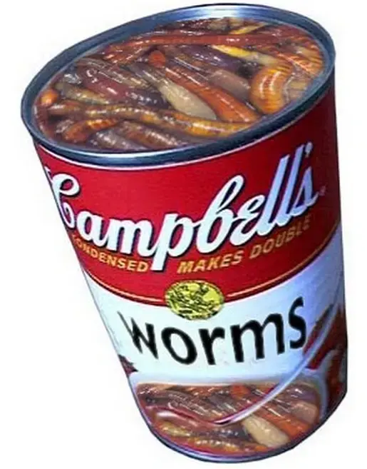 can of worms.webp