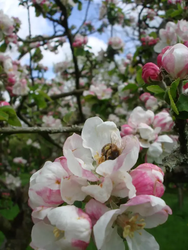 DSC01044.webp
