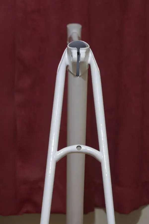 rear top.1.webp