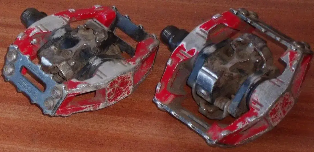 DSCF1498.webp
