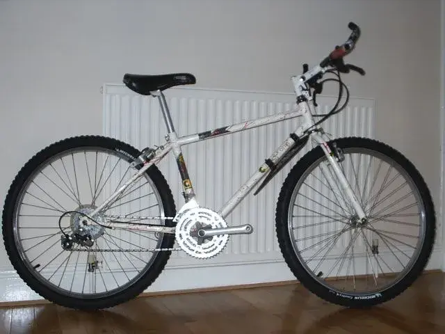 S2010057.webp