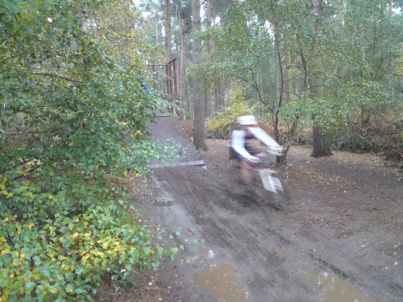 Dan Blur.webp