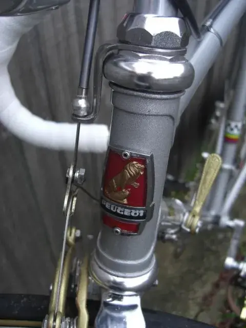 6 Peugeot Head Badge.webp