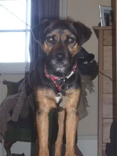 florrie.webp