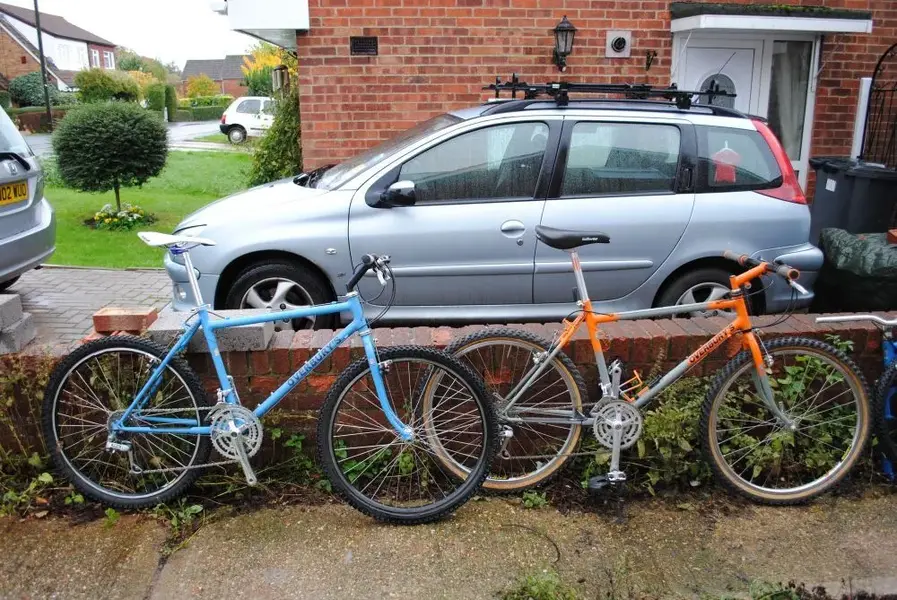 The Overbury's twins.webp