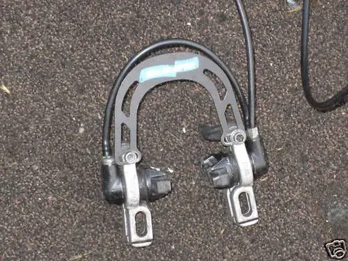 magura.webp