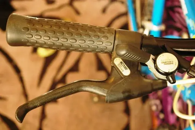 IMGP7010.webp