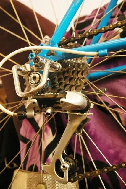 IMGP7001.webp