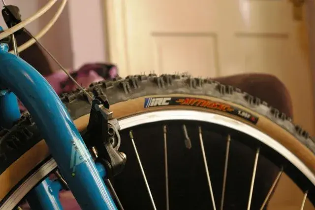 IMGP7005.webp