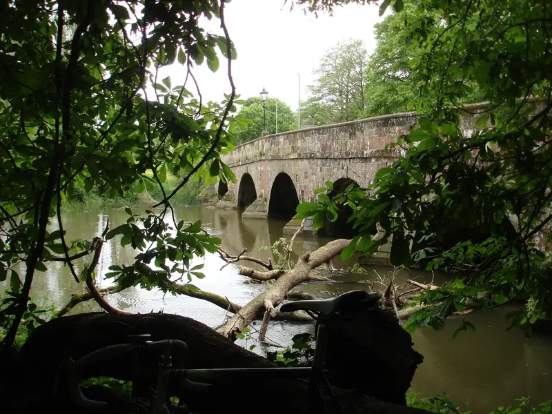 DSC01076.webp
