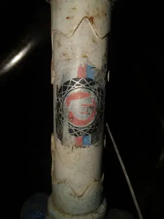 ESKA head emblem .webp