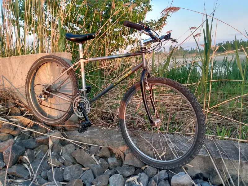 IMG_20230602_053902142_HDR.webp