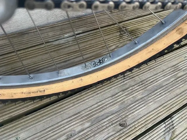 T10.jpg