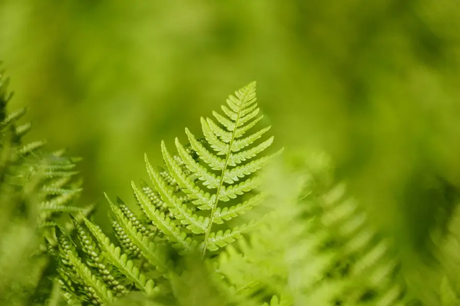 1000008486.webp