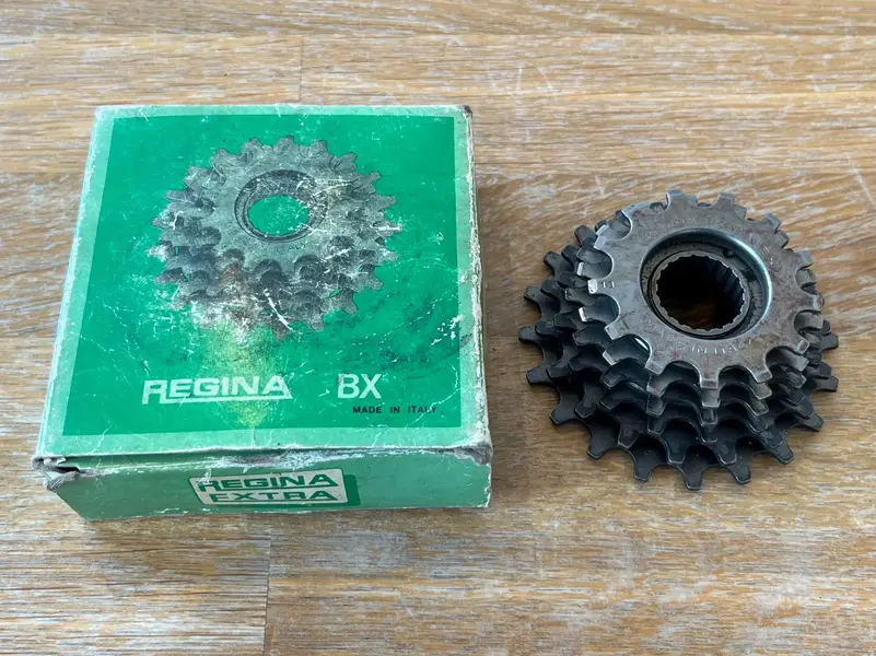 regina freewheel 1.webp