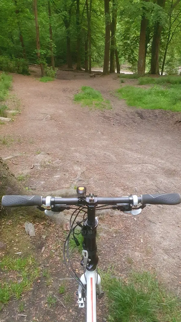 20240521_205032.jpg