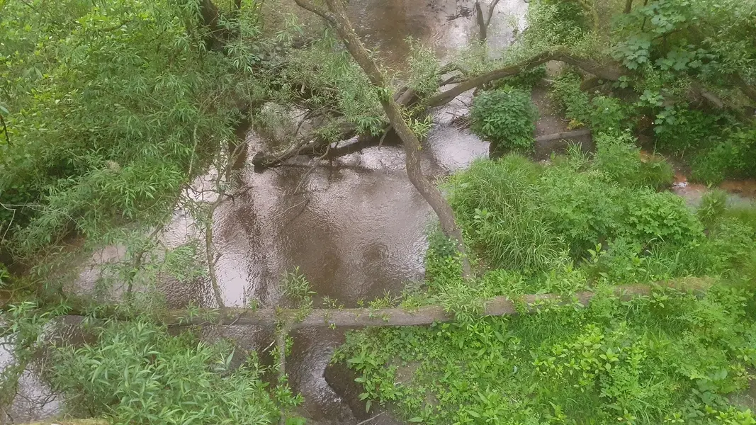 20240521_210306.jpg