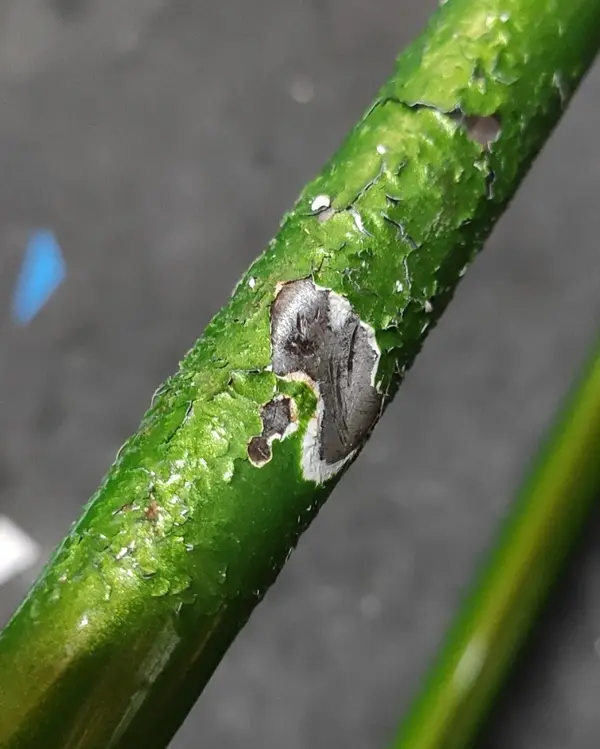 Paint stripped.jpg