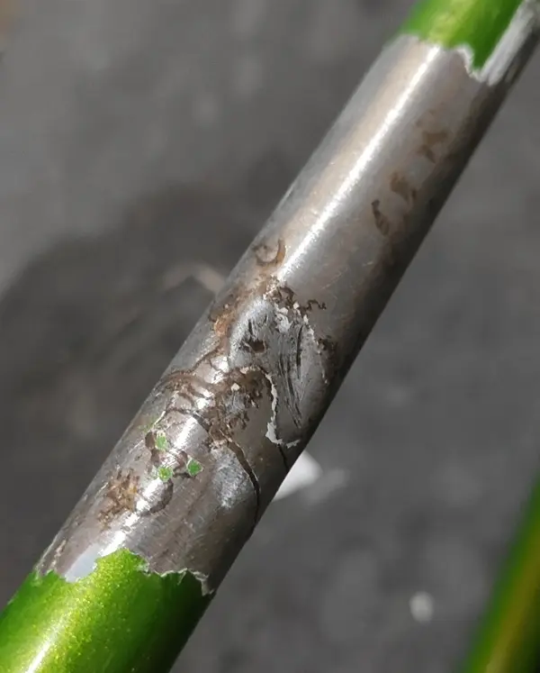 Paint stripped2.jpg