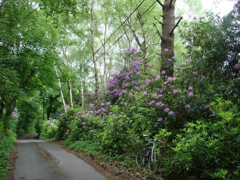 DSC01140.webp