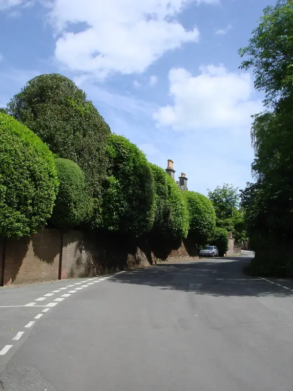 DSC01162.webp