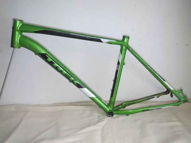 4 the frame.webp