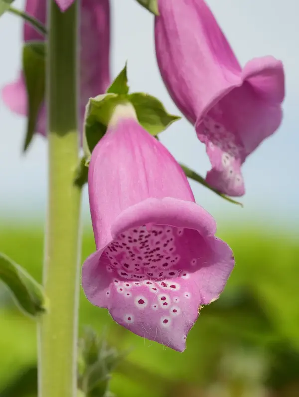 A7C00821.webp