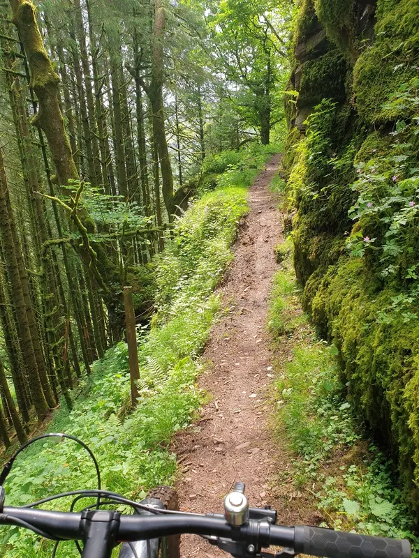 20240601_132757.jpg