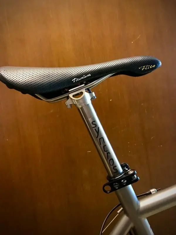 Saddle.webp