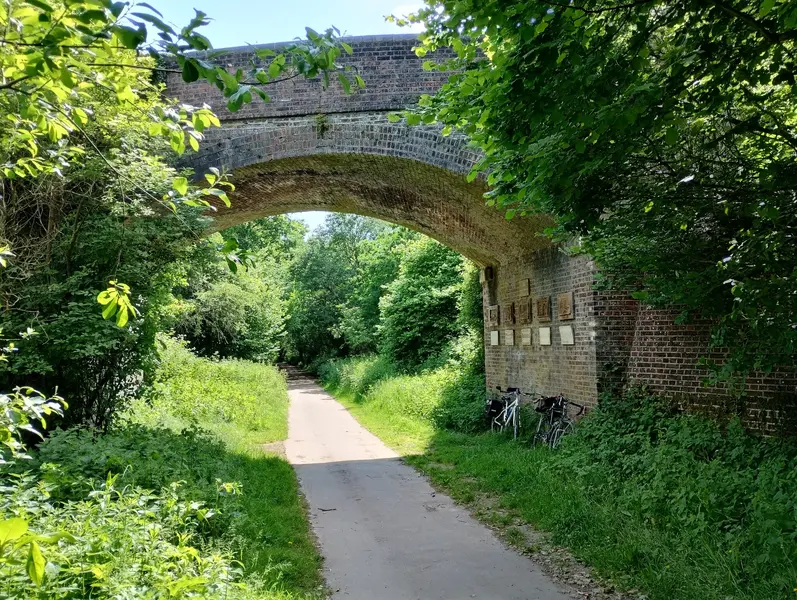 IMG_20240605_153503390_HDR.webp