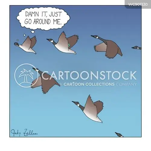 animals-goose-wild_geese-flight_formation-bird-migration-WC901330_low.webp