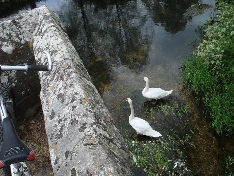 DSC01185.webp