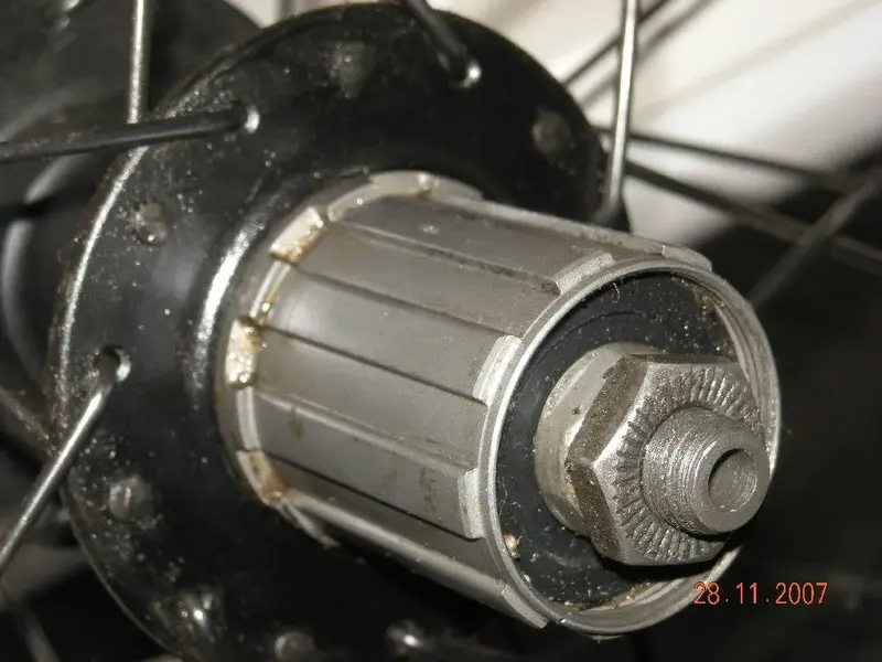 DSCN0082.webp