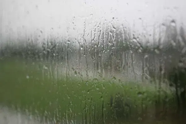 Miserable.webp