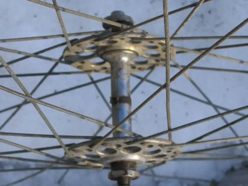 wheels3.webp