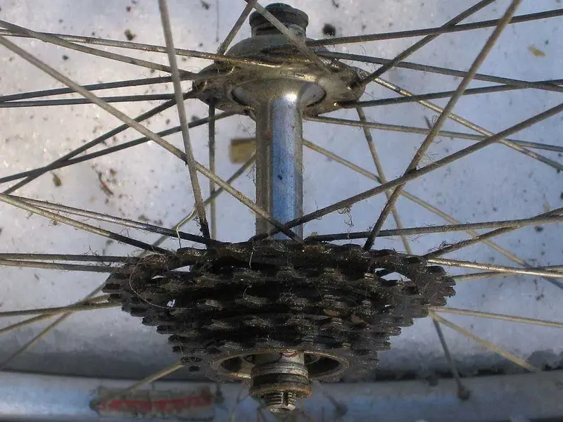 wheels1.webp