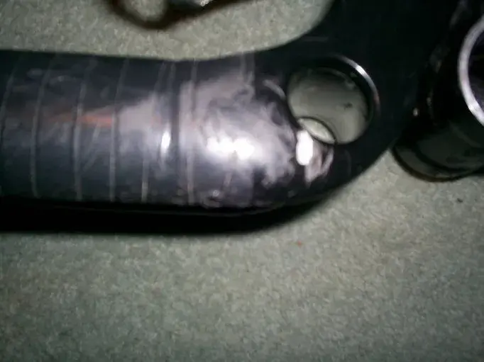 S4020598.webp