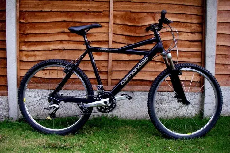 bike7.webp