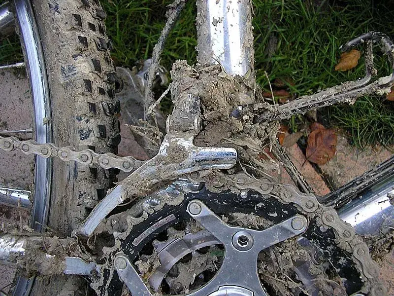 mud1rs.webp