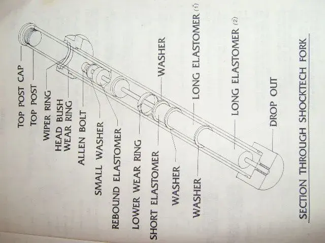 SHOCKTECH 001.webp